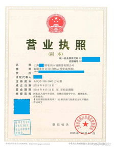 上海注冊非中介留學(xué)服務(wù)公司 類別、經(jīng)營范圍與票務(wù)代理指南